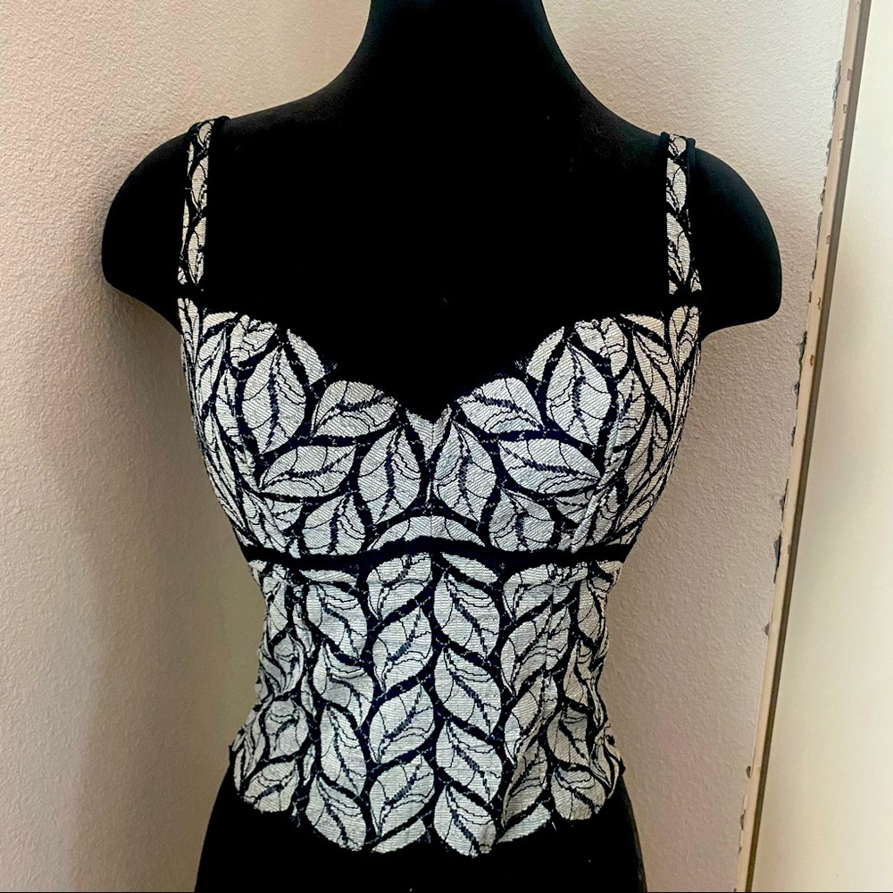 Cosabella vintage lace bustier. Made in Italy. Super sexy. Black with silver.